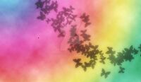 rainbowsandbutterflies