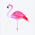 FlamingoBull